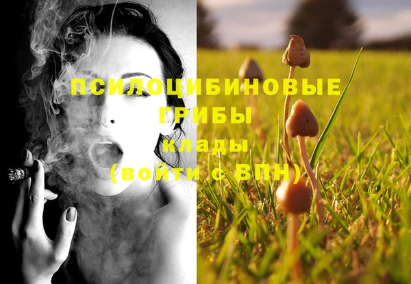 круглые Алексеевка