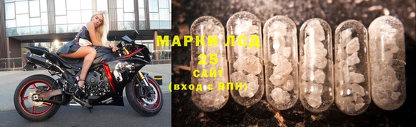 стафф Арсеньев