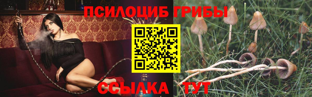 Галлюциногенные грибы MAGIC MUSHROOMS Мытищи