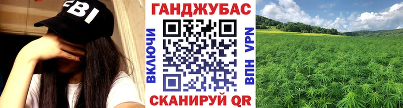 Бошки Шишки планчик  Мытищи 